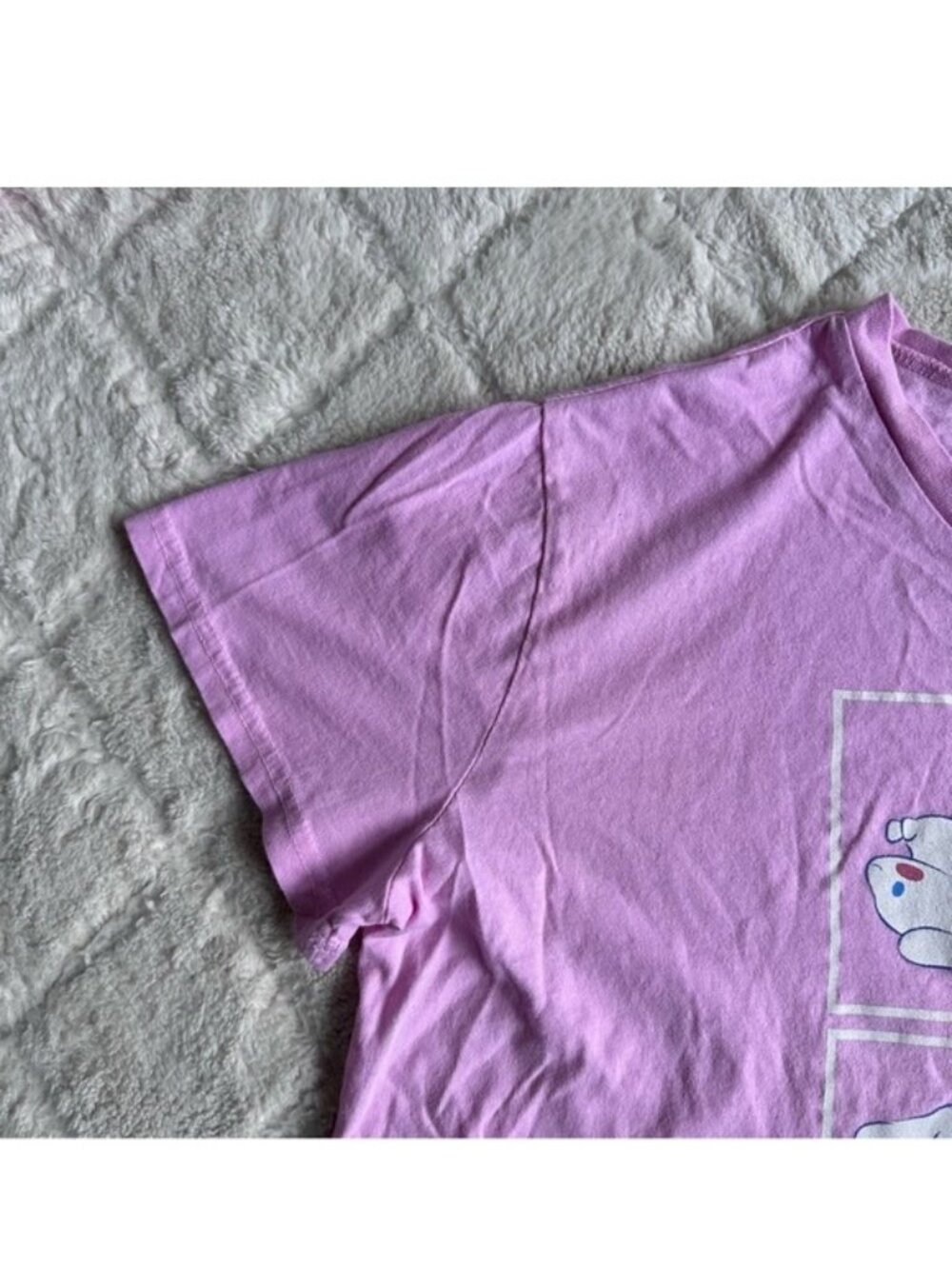 Cinnamoroll | Cropped Strawberry Kawaii Graphic T-Shirt | Size Large - Picture 3 of 10